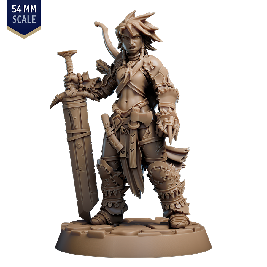 Barbarian Amiri