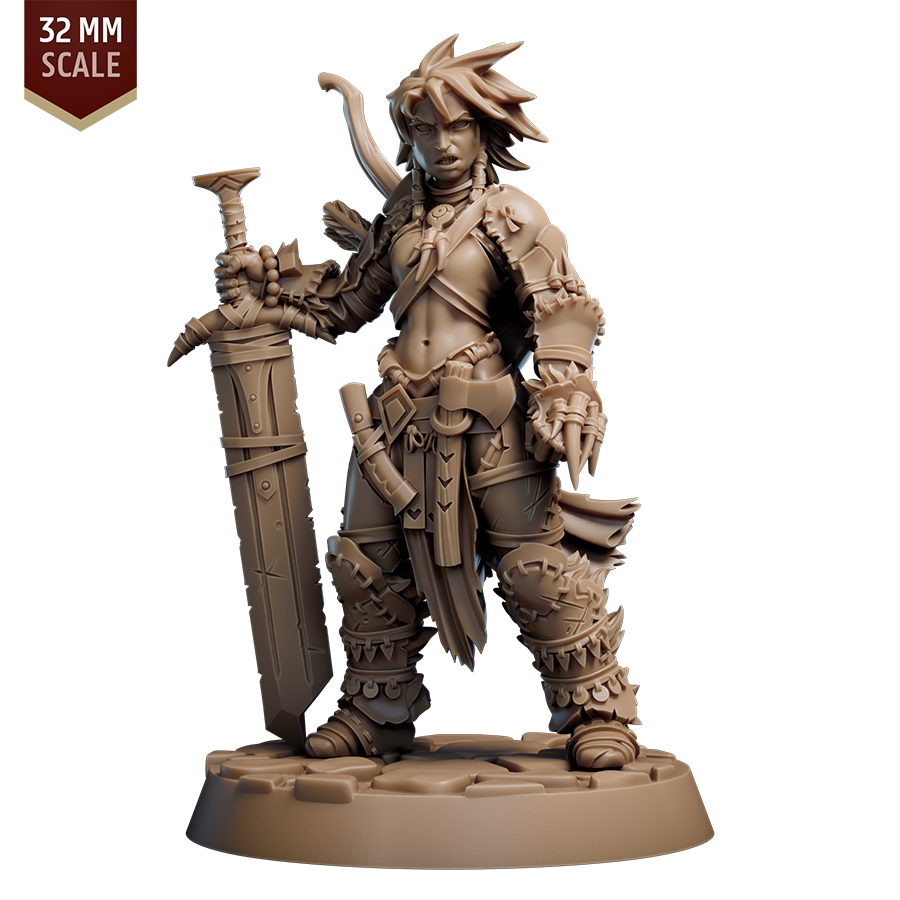 Barbarian Amiri