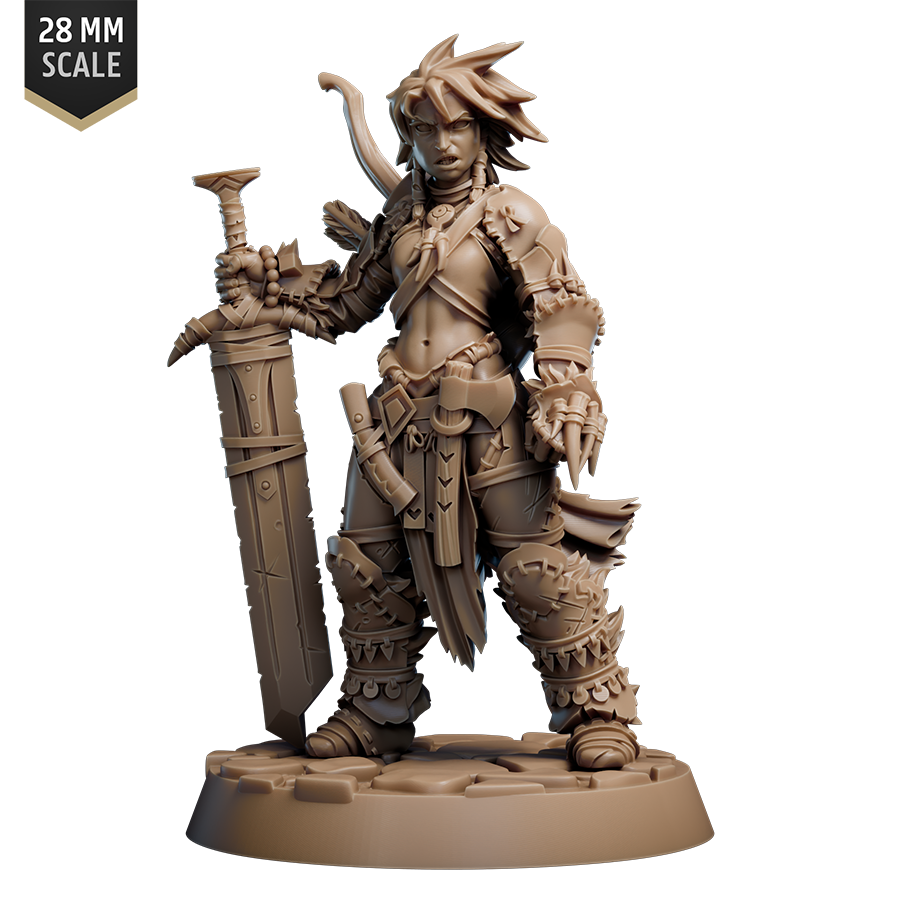 Barbarian Amiri