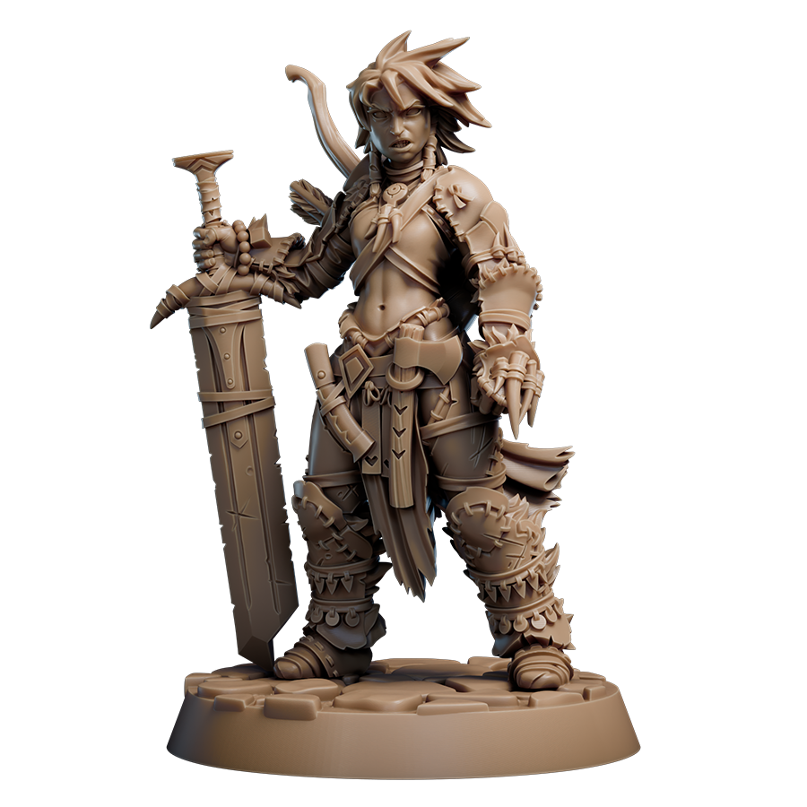 Barbarian Amiri