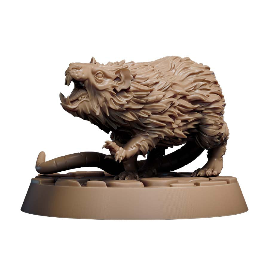Giant Rat