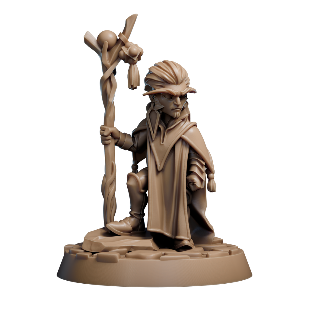 Gnome Spellcaster
