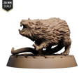 Giant Rat