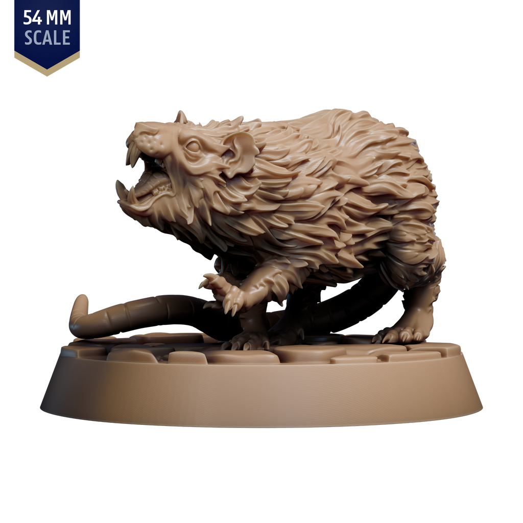 Giant Rat