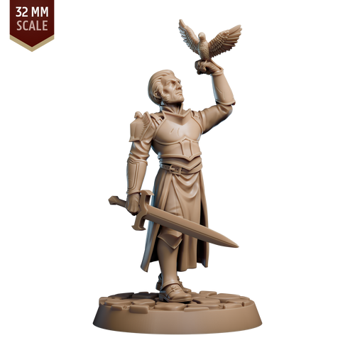 Andoran Steel Falcon