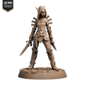 Merisiel, Iconic Rogue (Pathfinder Quest)