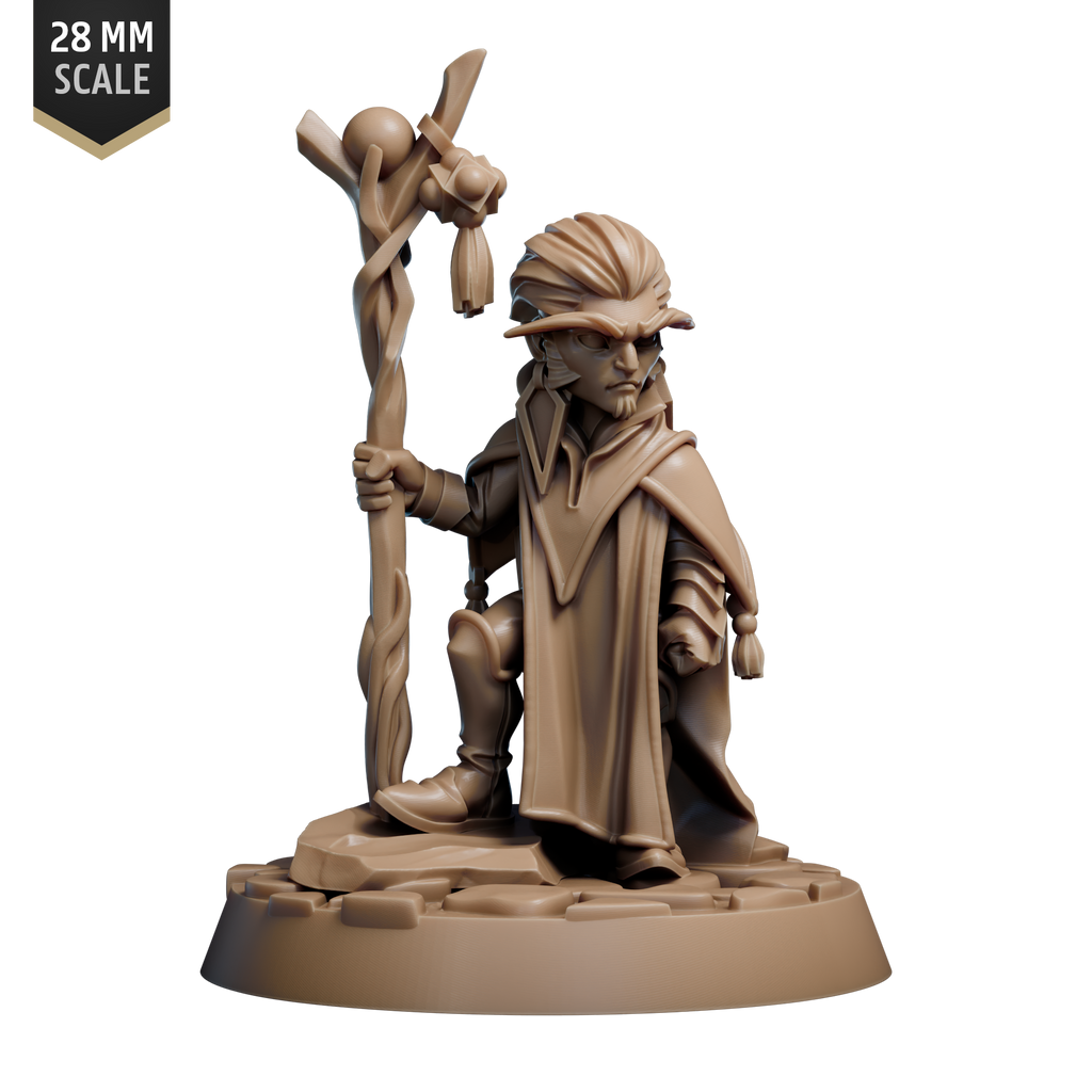 Gnome Spellcaster