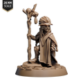 Gnome Spellcaster