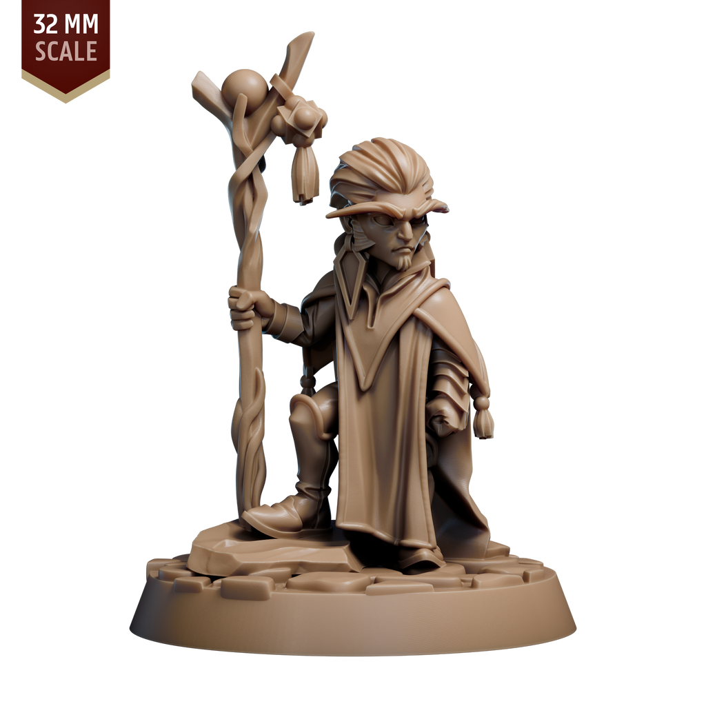 Gnome Spellcaster