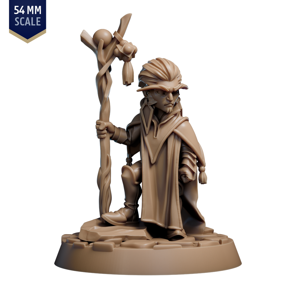 Gnome Spellcaster