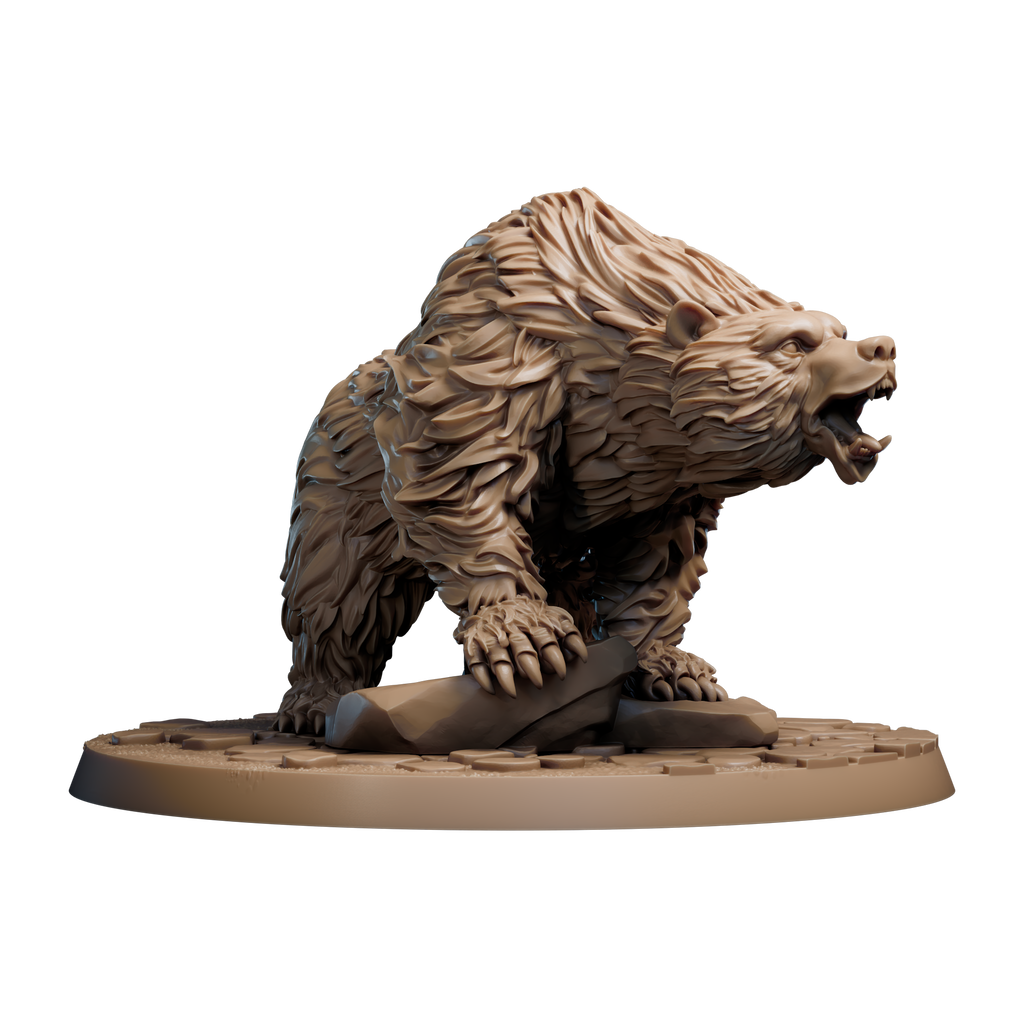 Brown Bear