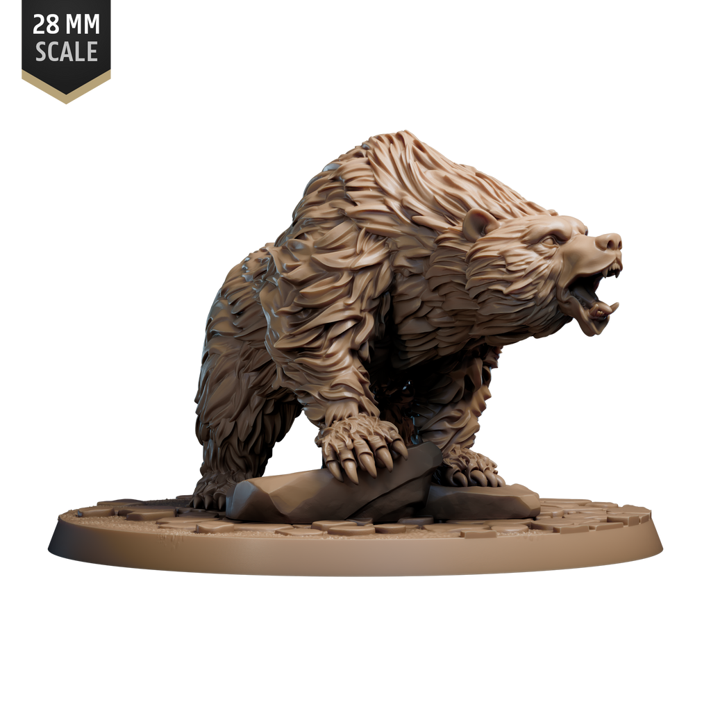Brown Bear