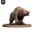 Brown Bear