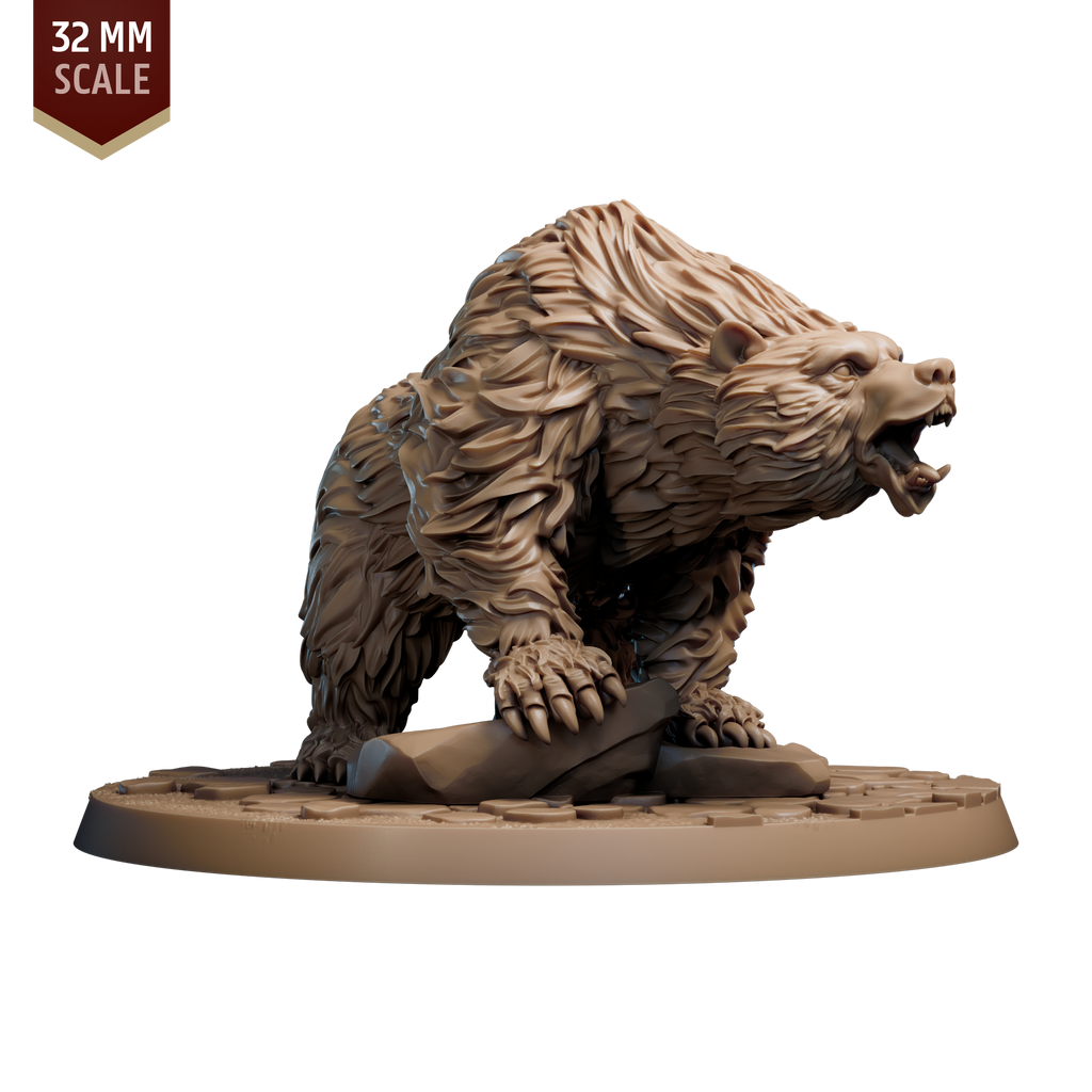 Brown Bear