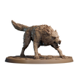 Dire Wolf