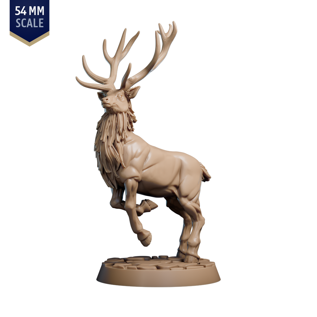 Elk