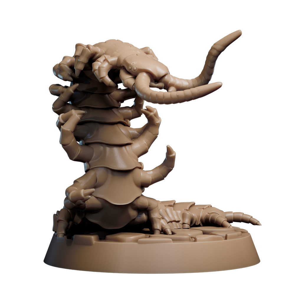 Giant Cave Centipede