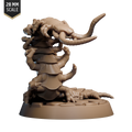 Giant Cave Centipede