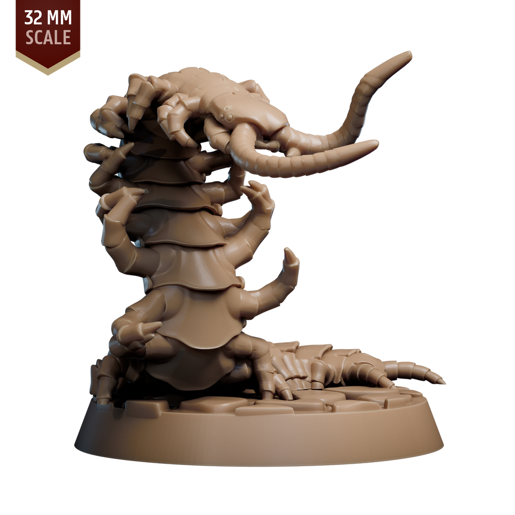 Giant Cave Centipede