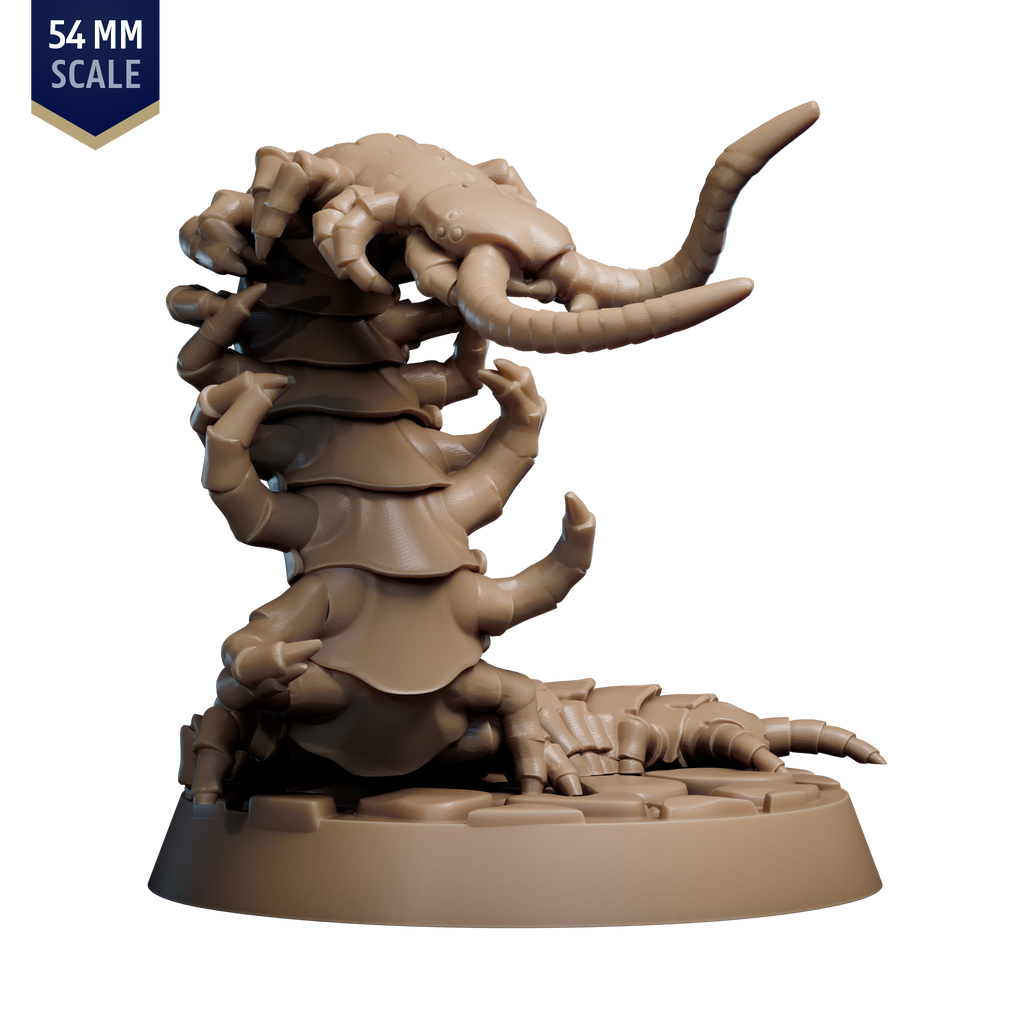 Giant Cave Centipede