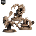 Reefclaw